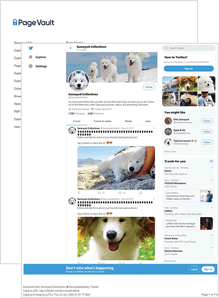 capture-sample-thumbnail-Twitter Page Vault Social Twitter Capture Example